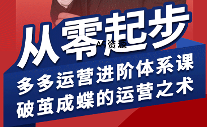 海神·拼多多运营进阶系统课(更新8月)-351资源网
