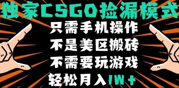 CSGO自动捡漏项目,最新独家玩法,不是美区搬砖,不需要了解和玩游戏,新手小白轻松月入1W+【揭秘】-351资源网