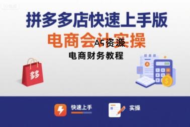 拼多多店快速上手版电商会计实操-电商财务教程-351资源网