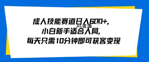 成人技能赛道日入多张,小白新手适合入局,每天只需10分钟即可获客变现-351资源网
