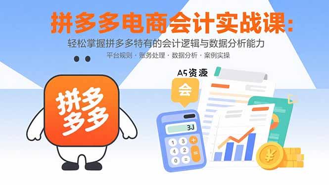 拼多多电商会计实战课：轻松掌握拼多多特有的会计逻辑与数据分析能力-351资源网