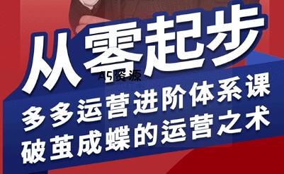 拼多多运营进阶系统课，从零起步，多多运营进阶体系课，破茧成蝶的运营之术-351资源网