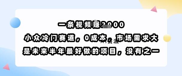 一条视频挣1k,小众冷门赛道,0成本,市场需求大,是未来半年最好做的项目,没有之一-351资源网