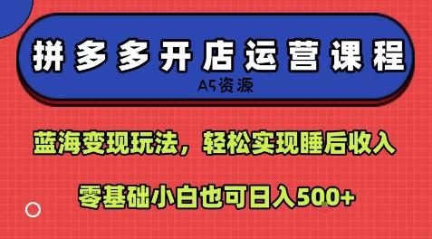 拼多多开店运营课程:蓝海变现玩法,轻松实现睡后收入,零基础小白也可日入5张-351资源网