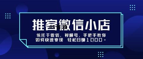 推客微信小店依托于微信、视频号,手把手教你如何快速变现 轻松日入1k+【揭秘】-351资源网