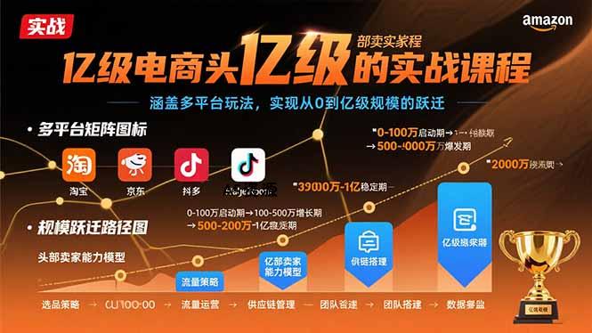 亿级电商头部卖家的实战课程:涵盖多平台玩法,实现从0到亿级规模的跃迁-351资源网