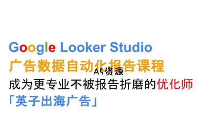 英子出海广告·Google Looker Studio从新手到高手-351资源网