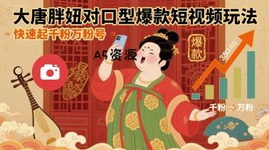 大唐胖妞对口型爆款短视频玩法,快速起千粉万粉号-351资源网