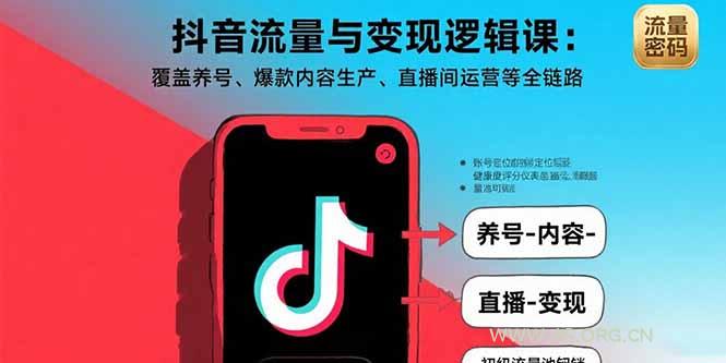 抖音流量与变现逻辑课：覆盖养号、爆款内容生产、直播间运营等全链路-351资源网
