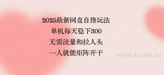 2025最新网盘自撸玩法，单机每天稳下3张，无需流量和拉人头，一个人就可轻松矩阵，全网独一份【揭秘】-351资源网