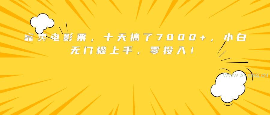 靠卖电影票，十天搞了7000+，小白无门槛上手，零投入！-351资源网
