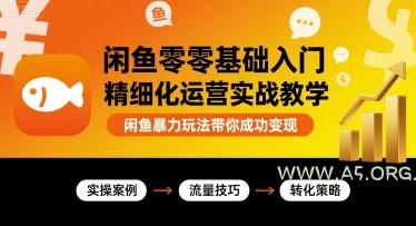闲鱼零基础入门精细化运营实战教学，闲鱼暴力玩法带你成功变现-351资源网