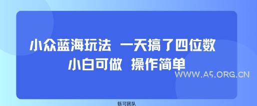 小众蓝海玩法 一天搞了四位数 小白可做 操作简单-351资源网