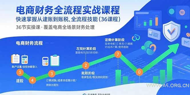 电商财务全流程实战课程：快速掌握从建账到报税的全流程技能(36节课-351资源网