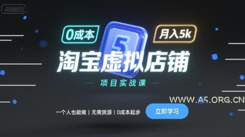 淘宝虚拟店铺项目实战课，一个人也能做，无需货源、0成本起步，月入5k-351资源网