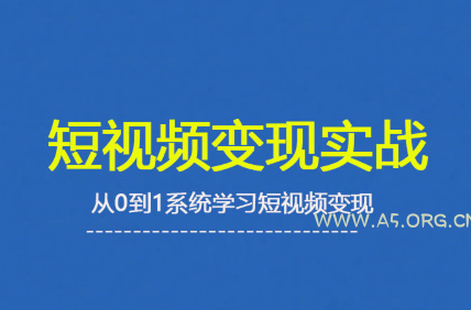 杨磊老师·2025短视频变现实战课-351资源网