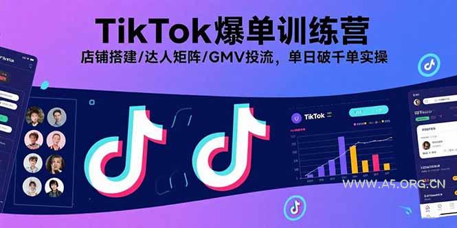 TikTok爆单训练营，店铺搭建/达人矩阵/GMV投流，单日破千单实操-351资源网