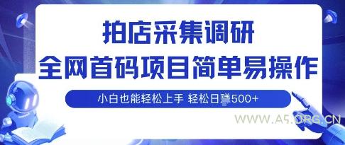 拍店采集调研，全网首码项目，简单易操作， 小白也能轻松上手，多账号操作，轻松日入5张【揭秘】-351资源网