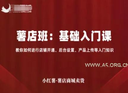 小红薯薯店商城卖货，基础入门课，教你如何进行店铺开通、后台设置、产品上传等入门知识-351资源网