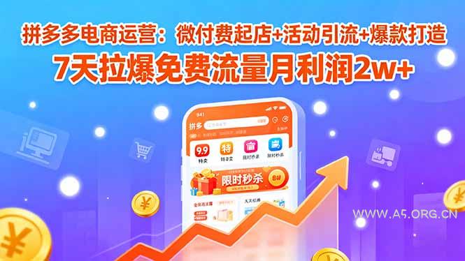 拼多多电商运营：微付费起店+活动引流+爆款打造 7天拉爆免费流量月利润2w+-351资源网