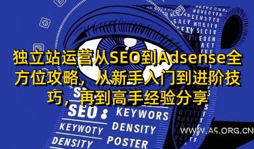 独立站运营从SEO到Adsense全方位攻略,从新手入门到进阶技巧,再到高手经验分享-351资源网