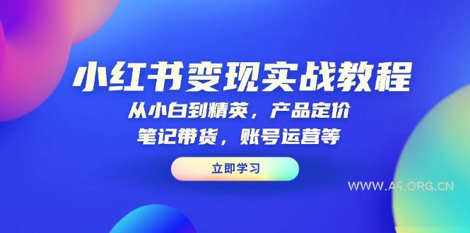 小红书变现实战教程：从小白到精英，产品定价，笔记带货，账号运营等-351资源网