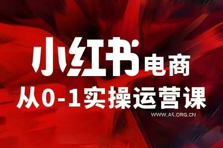 小红书电商运营，97节小红书vip内部课，带你实现小红书赚钱-351资源网