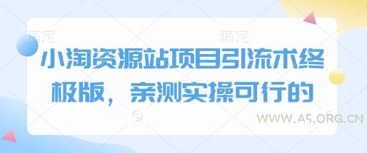 小淘资源站项目引流术终极版，亲测实操可行的-351资源网