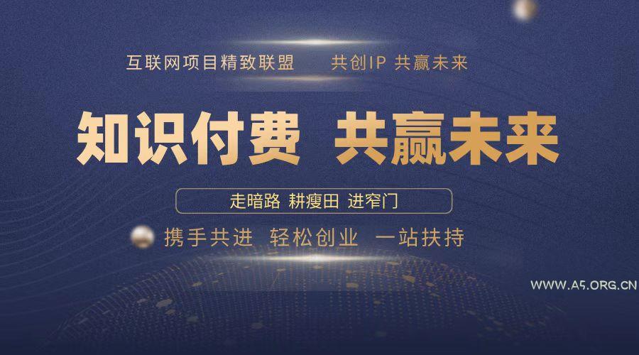 2025年 如何通过 “知识付费” 卖项目月入十万、年入百万，布局2025与...-351资源网