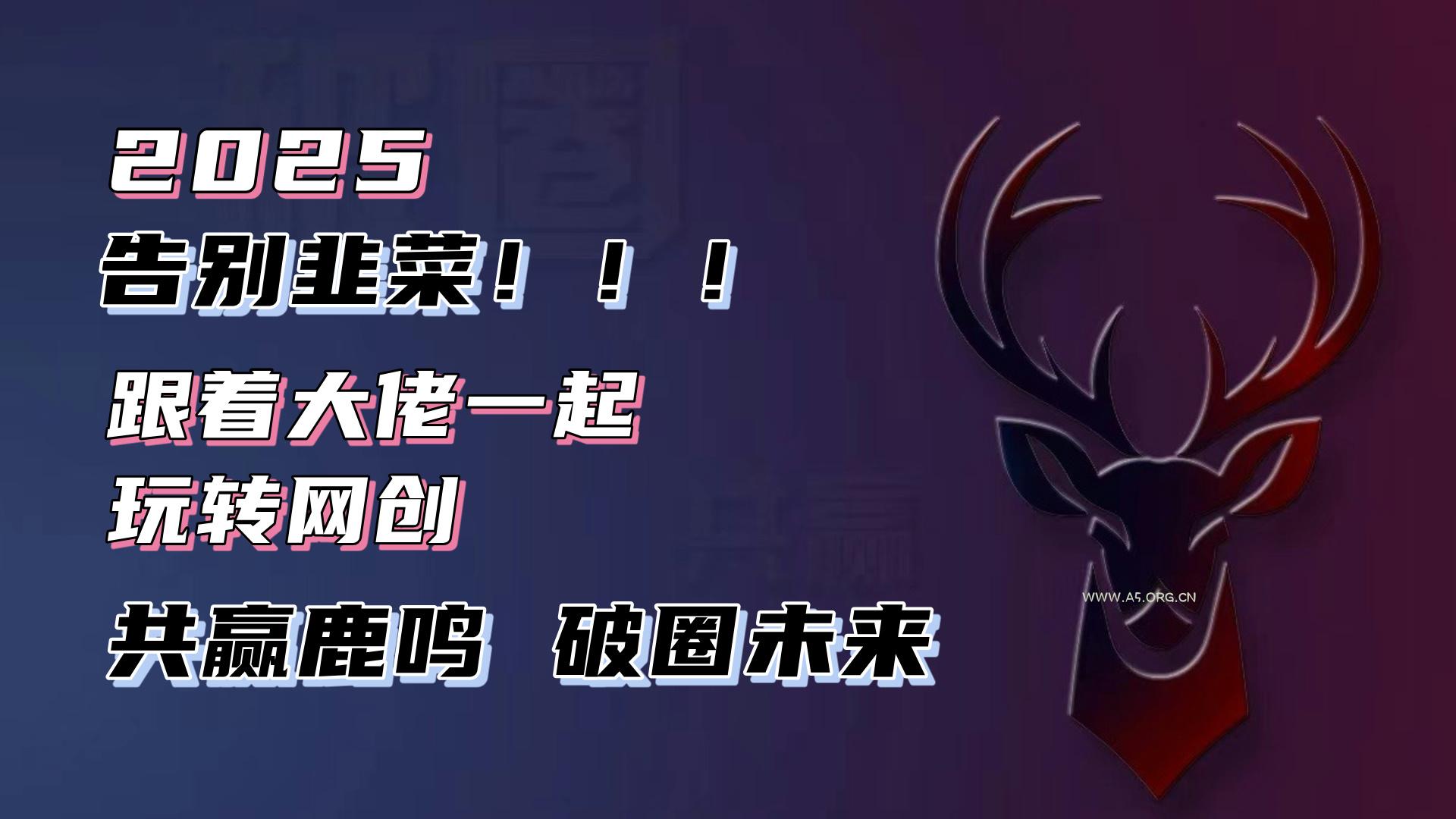 告别韭菜！2025知识付费风口项目，小白也能闭眼操作！-351资源网