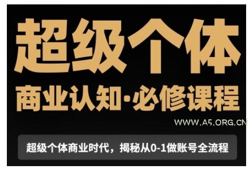 超级个体商业认知觉醒视频课，商业认知·必修课程揭秘从0-1账号全流程-351资源网