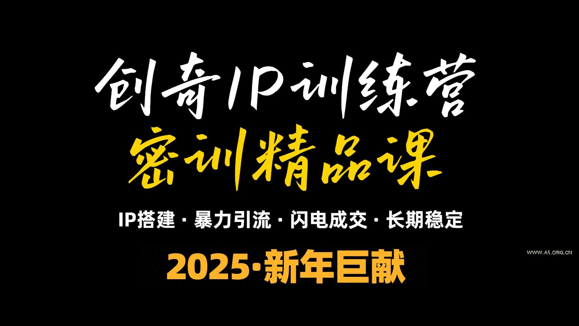 2025年“知识付费IP训练营”小白避坑年赚百万，暴力引流，闪电成交-351资源网