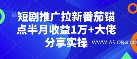 短剧推广拉新番茄锚点半月收益1万+大佬分享实操-351资源网