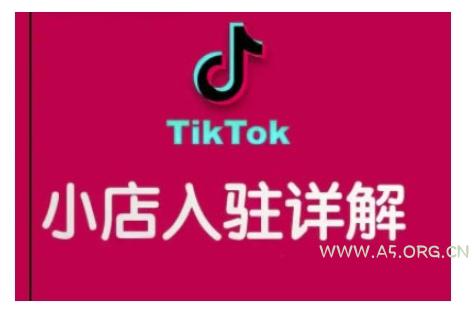 TikTok跨境小店运营全攻略，帮助你独立运营TK跨境小店的能力，实现销量增长-351资源网