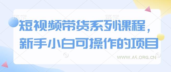 短视频带货系列课程，新手小白可操作的项目-351资源网