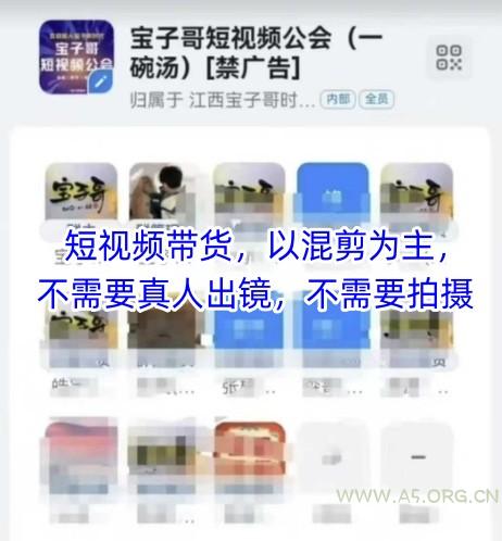 宝子哥头部团队短视频带货，以混剪为主，不需要真人出镜，不需要拍摄【更新9月】-351资源网