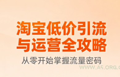 淘宝低价引流与运营全攻略(更新9月)-351资源网