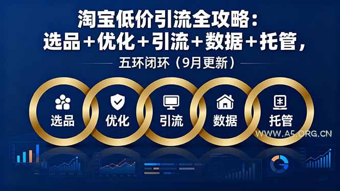 淘宝低价引流全攻略：选品＋优化＋引流＋数据＋托管，五环闭环(9月更新-351资源网