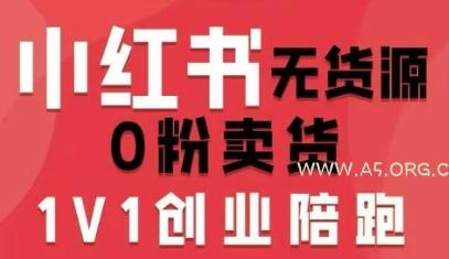 小红书无货源0粉电商课，开店准备、选品策略、笔记撰写、视频剪辑、数据分析、账号打造、资料文档-351资源网