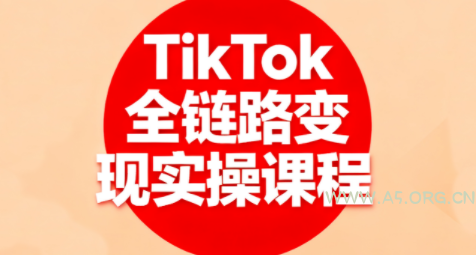 小杨老师·TikTok全链路变现实操课程-351资源网