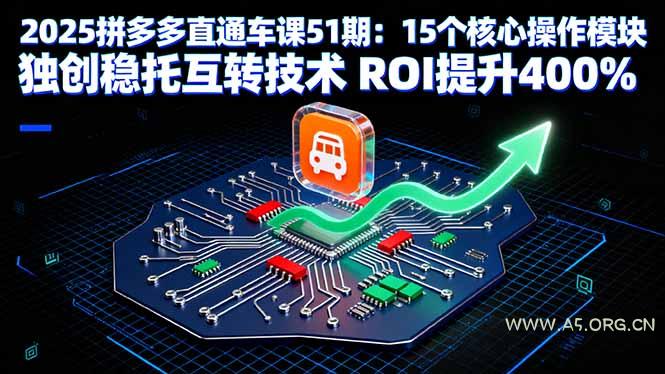 2025拼多多直通车课51期：15个核心操作模块 独创稳托互转技术 ROI提升400%-351资源网