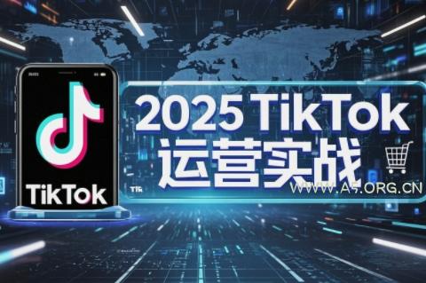 阿涛·2025TikTok电商运营-351资源网