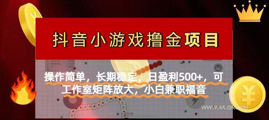 【抖音小游戏发行人计划项目】操作简单，长期稳定，日盈利500+，可工作...-351资源网