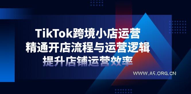 TikTok跨境小店运营，精通开店流程与运营逻辑，提升店铺运营效率-351资源网