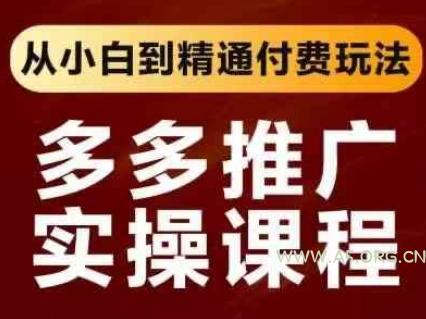拼多多推广实操课程，从小白到精通付费玩法-351资源网