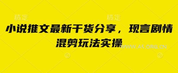 小说推文最新干货分享，现言剧情混剪玩法实操-351资源网
