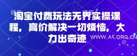 淘宝付费玩法无界实操课程，高价解决一切烦恼，大力出奇迹-351资源网