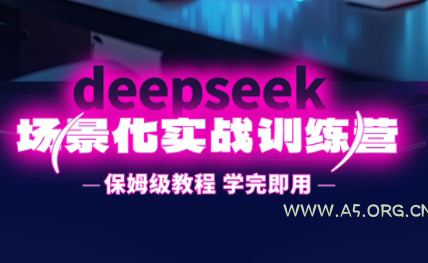 一舟老师·deepseek场景化实战训练营-351资源网