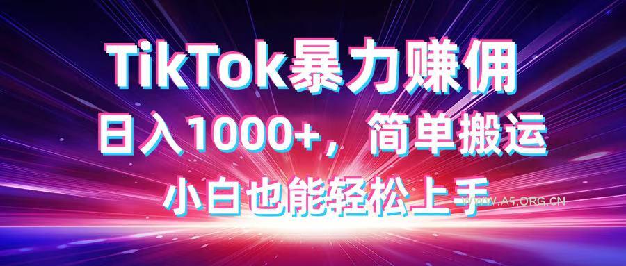 TikTok搬运暴力赚佣,日入1000+,简单搬运,小白也能轻松上手-351资源网