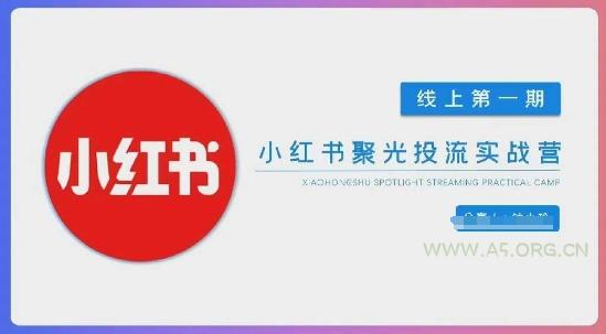 小红书聚光陪跑第一期，教你从0到1玩转小红书聚光投流，搭建小红书付费投流团队，更快的见到效果-351资源网